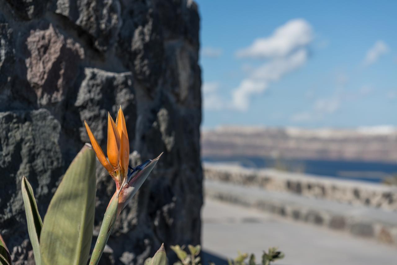 Elements Of Caldera Suites Akrotírion Dış mekan fotoğraf